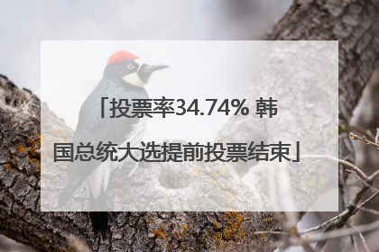 投票率34.74% 韩国总统大选提前投票结束