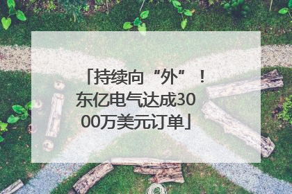 持续向“外”！东亿电气达成3000万美元订单
