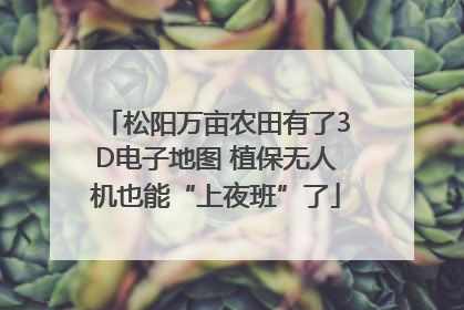 松阳万亩农田有了3D电子地图 植保无人机也能“上夜班”了