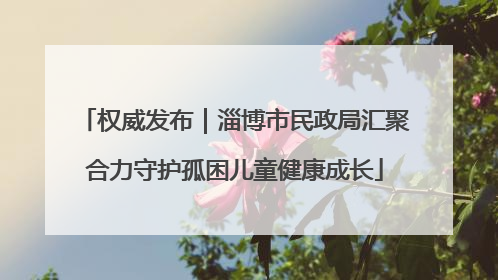 权威发布｜淄博市民政局汇聚合力守护孤困儿童健康成长