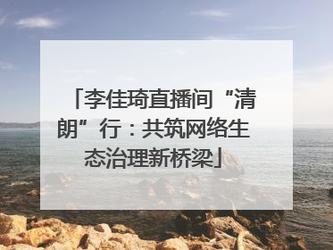 李佳琦直播间“清朗”行：共筑网络生态治理新桥梁