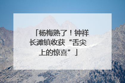 杨梅熟了！钟祥长滩镇收获“舌尖上的惊喜”