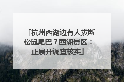 杭州西湖边有人拔断松鼠尾巴？西湖景区：正展开调查核实