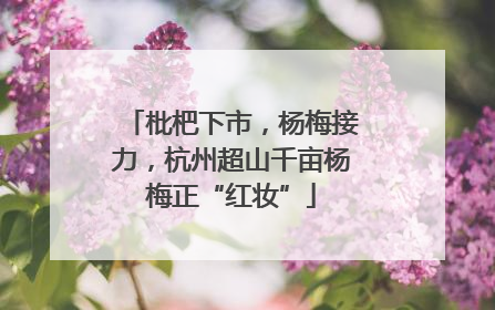 枇杷下市，杨梅接力，杭州超山千亩杨梅正“红妆”