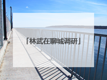 林武在聊城调研