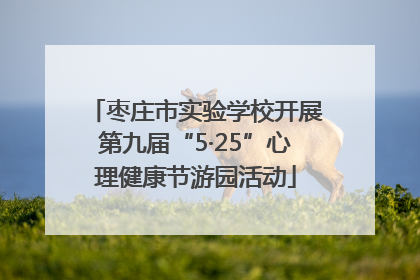枣庄市实验学校开展第九届“5·25”心理健康节游园活动