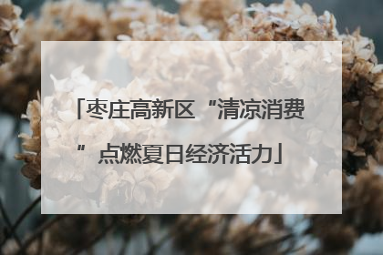 枣庄高新区“清凉消费”点燃夏日经济活力