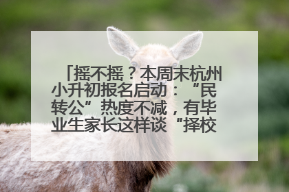 摇不摇？本周末杭州小升初报名启动：“民转公”热度不减，有毕业生家长这样谈“择校真相”……