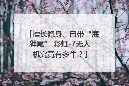 擅长隐身、自带“海狸尾” 彩虹-7无人机究竟有多牛？