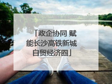 政企协同 赋能长沙高铁新城自贸经济圈