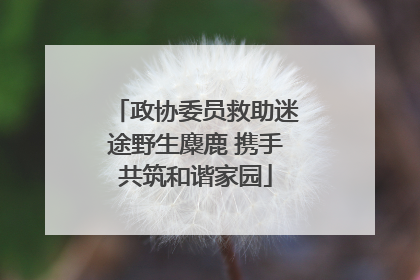 政协委员救助迷途野生麋鹿 携手共筑和谐家园