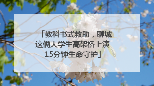 教科书式救助，聊城这俩大学生高架桥上演15分钟生命守护