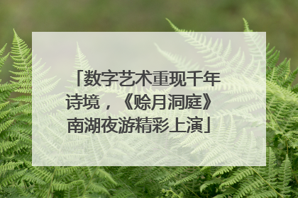 数字艺术重现千年诗境，《赊月洞庭》南湖夜游精彩上演