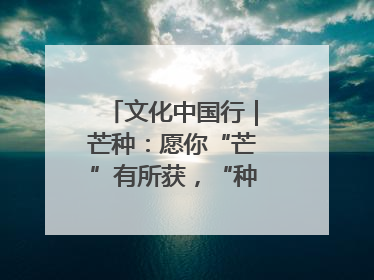 文化中国行｜芒种：愿你“芒”有所获，“种”有所得