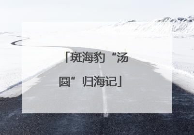 斑海豹“汤圆”归海记