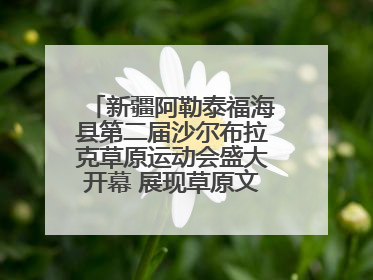 新疆阿勒泰福海县第二届沙尔布拉克草原运动会盛大开幕 展现草原文化魅力