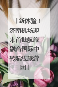 新体验！济南机场迎来首批航旅融合国际中转航线旅游团