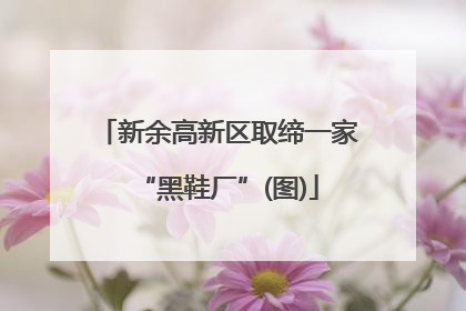 新余高新区取缔一家“黑鞋厂”(图)