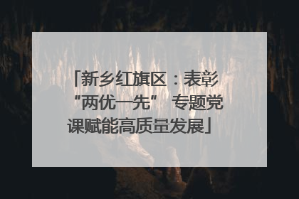 新乡红旗区：表彰 “两优一先” 专题党课赋能高质量发展