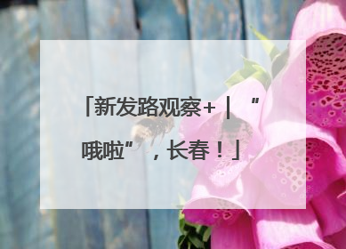 新发路观察+｜“哦啦”，长春！