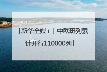 新华全媒+｜中欧班列累计开行110000列
