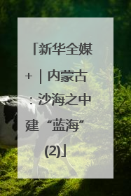 新华全媒+｜内蒙古：沙海之中建“蓝海”(2)