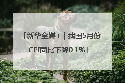 新华全媒+｜我国5月份CPI同比下降0.1%