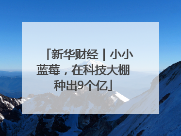 新华财经｜小小蓝莓，在科技大棚种出9个亿