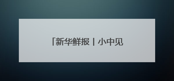 新华鲜报丨小中见大！这个博览会专为全球中小企业搭台