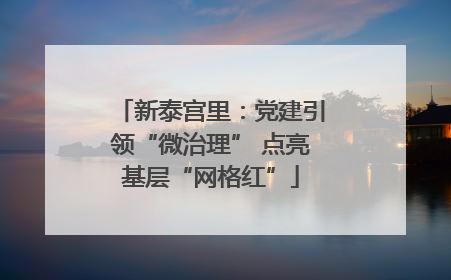 新泰宫里：党建引领“微治理” 点亮基层“网格红”