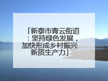 新泰市青云街道：坚持绿色发展，加快形成乡村振兴新质生产力