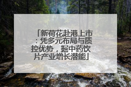 新荷花赴港上市：凭多元布局与质控优势，掘中药饮片产业增长潜能