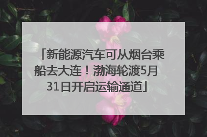 新能源汽车可从烟台乘船去大连！渤海轮渡5月31日开启运输通道