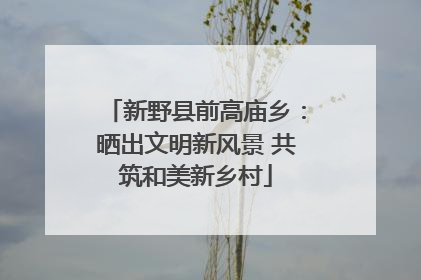 新野县前高庙乡：晒出文明新风景 共筑和美新乡村