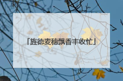 旌德麦穗飘香丰收忙