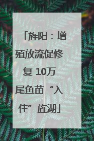 旌阳：增殖放流促修复 10万尾鱼苗“入住”旌湖