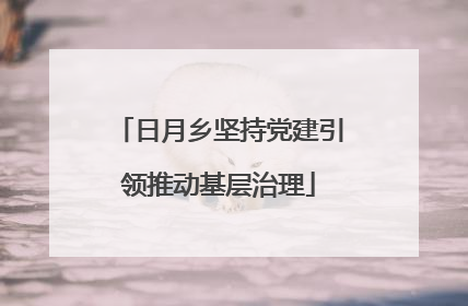 日月乡坚持党建引领推动基层治理