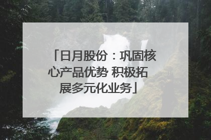 日月股份：巩固核心产品优势 积极拓展多元化业务