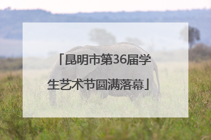 昆明市第36届学生艺术节圆满落幕