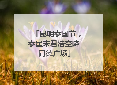 昆明泰国节，泰星宋君浩空降同德广场