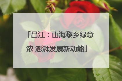 昌江：山海黎乡绿意浓 澎湃发展新动能