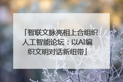 智联文脉亮相上合组织人工智能论坛：以AI编织文明对话新纽带