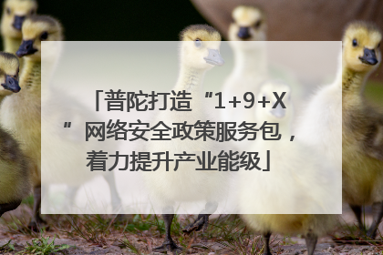 普陀打造“1+9+X”网络安全政策服务包，着力提升产业能级