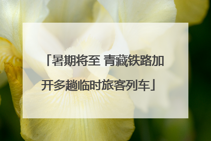 暑期将至 青藏铁路加开多趟临时旅客列车