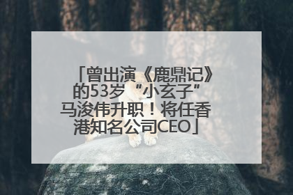 曾出演《鹿鼎记》的53岁“小玄子”马浚伟升职！将任香港知名公司CEO