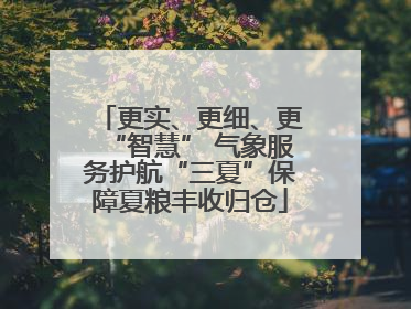 更实、更细、更“智慧” 气象服务护航“三夏”保障夏粮丰收归仓