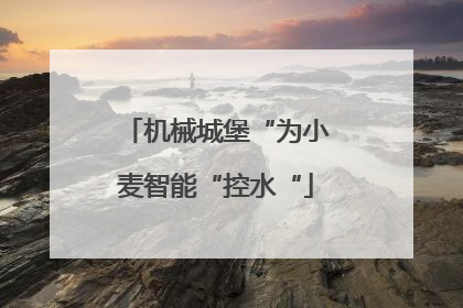 机械城堡“为小麦智能“控水“