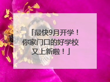 最快9月开学！你家门口的好学校又上新啦！