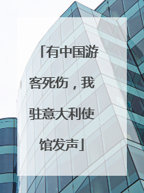 有中国游客死伤，我驻意大利使馆发声