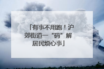 有事不用跑！沪郊街道一“码”解居民烦心事